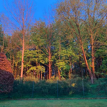 호텔 Willa Raduszka *