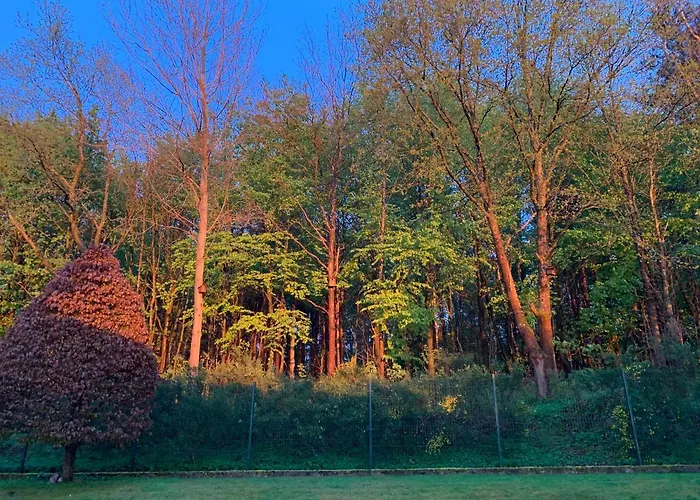 فندق Willa Raduszka *